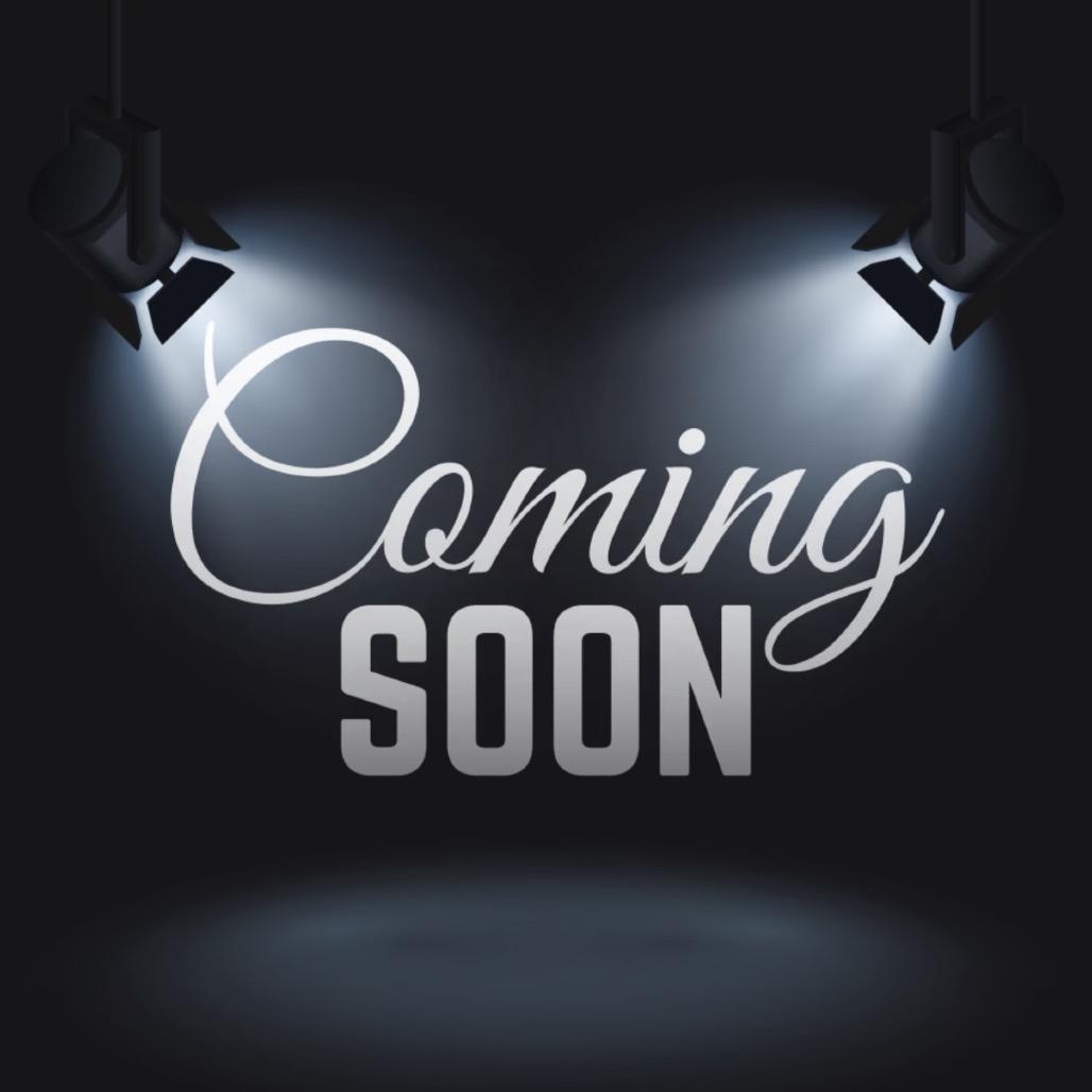 Lydia, Adoptable, Adult Female Mixed Breed & Weimaraner.