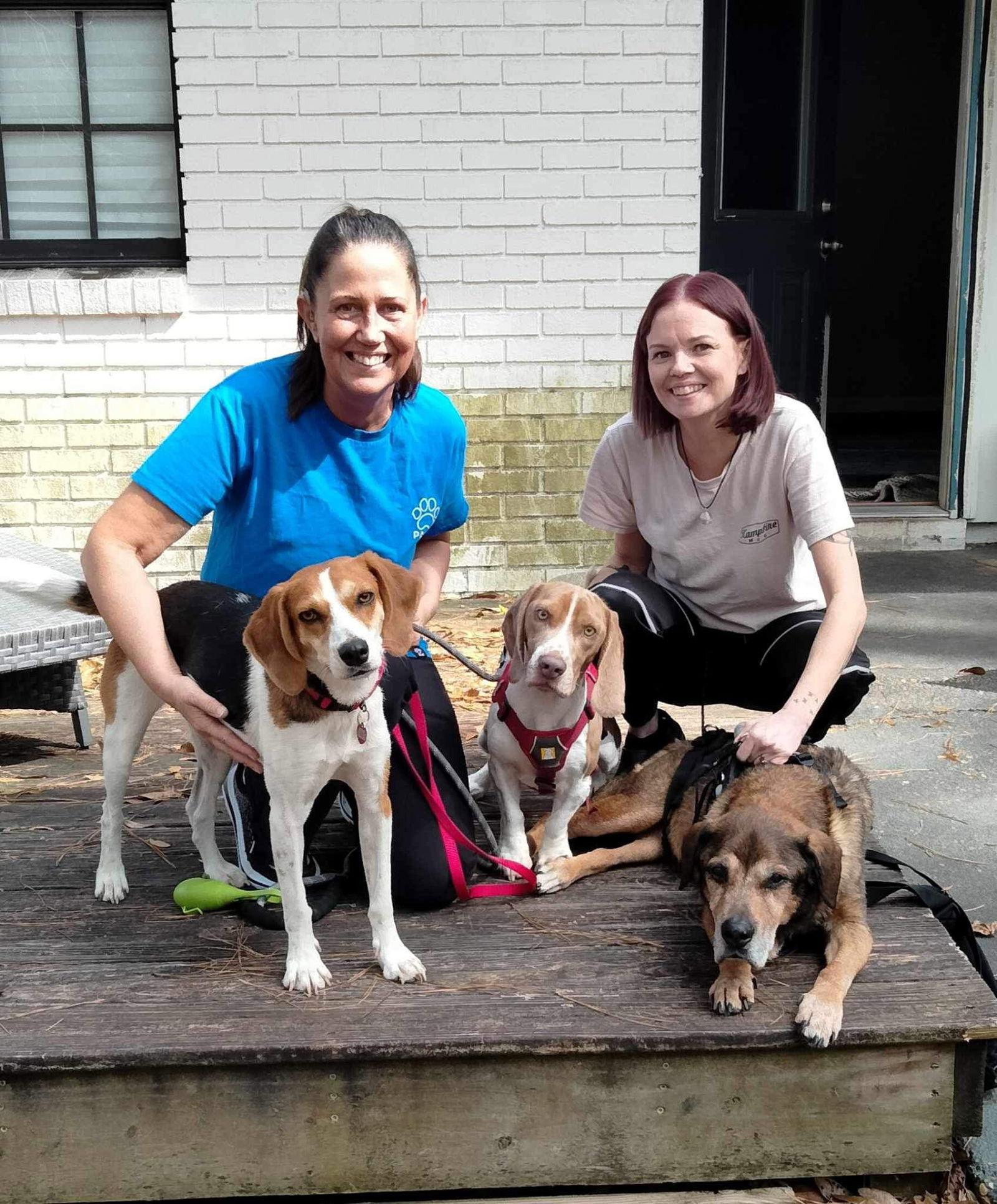 Enlarge Jazzy II, a Adopted mixed breed in Dunnellon, FL image 3/3