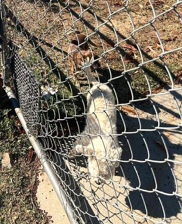 Tuna & Mack thumbnail 3