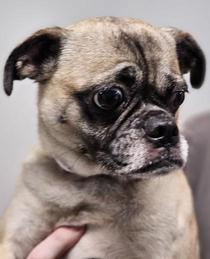 Debbie — thumbnail 2