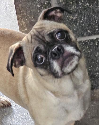 Debbie — thumbnail 3