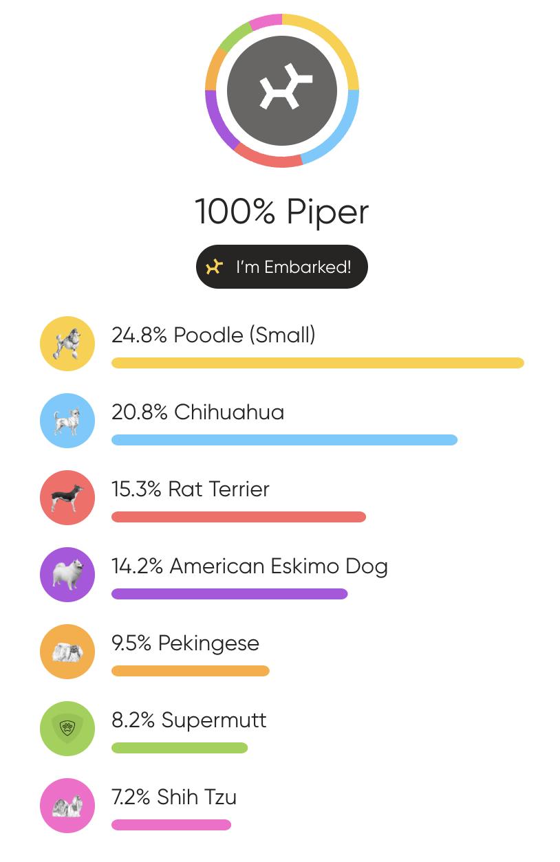 Piper, a Adoptable mixed breed in Atlanta, GA image 6/6