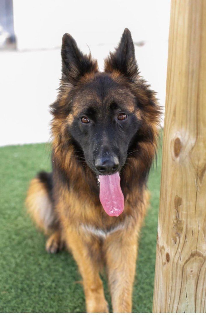 Micah photo 2