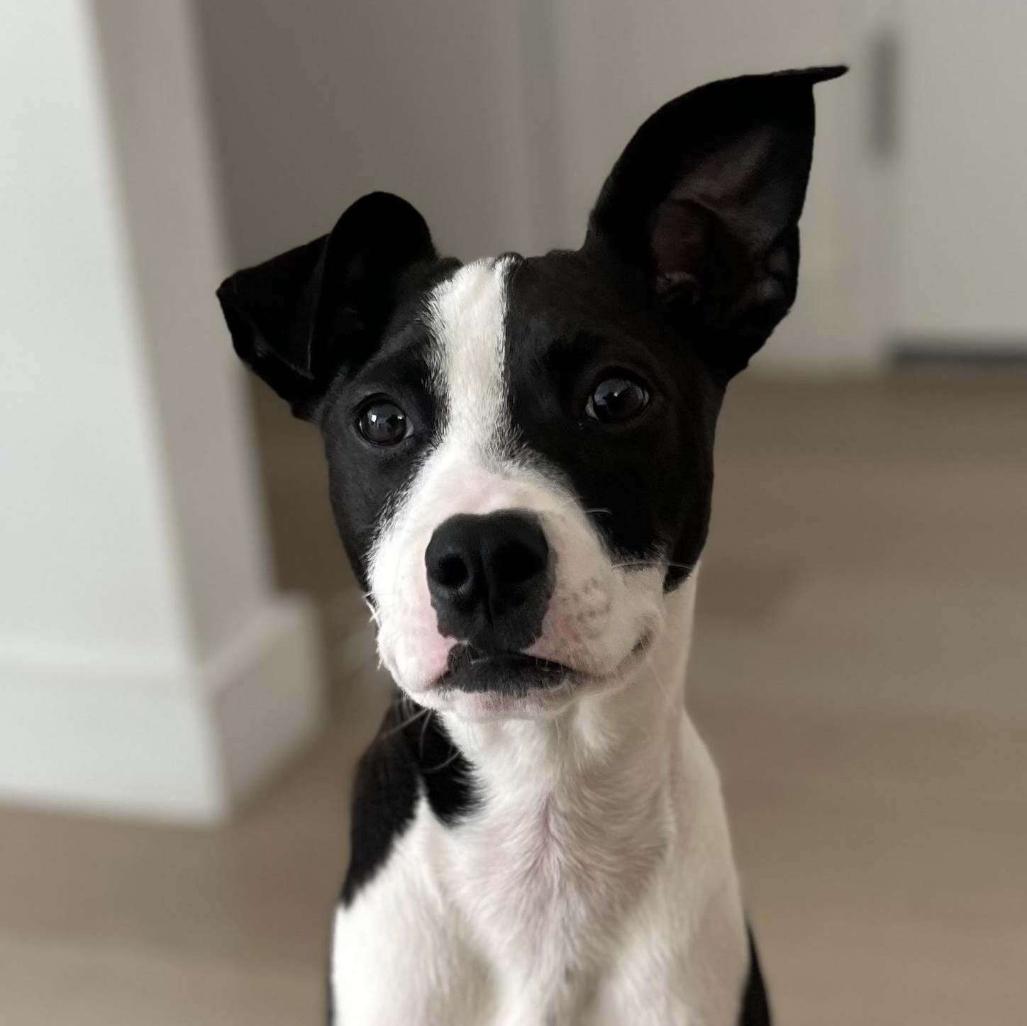 Mason