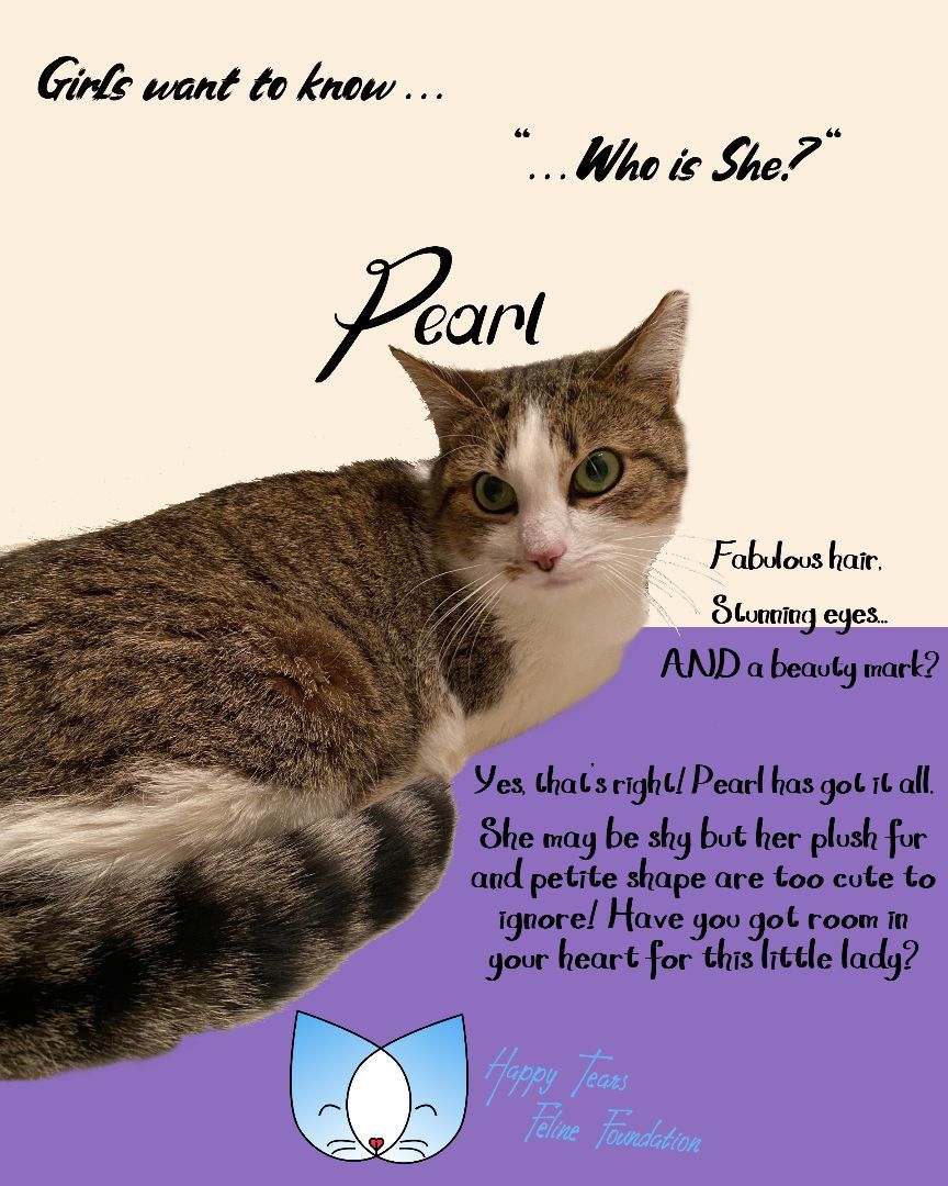 Enlarge Pearl, a Adopted Tabby in Woodstock, GA image 5/6
