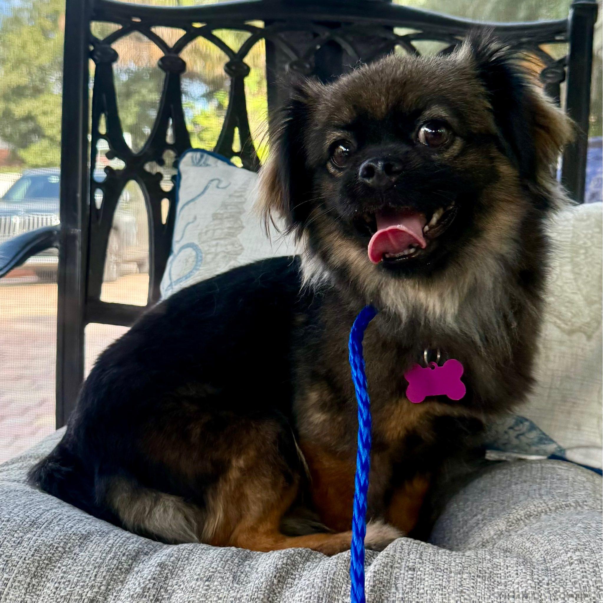 Nina — thumbnail 2