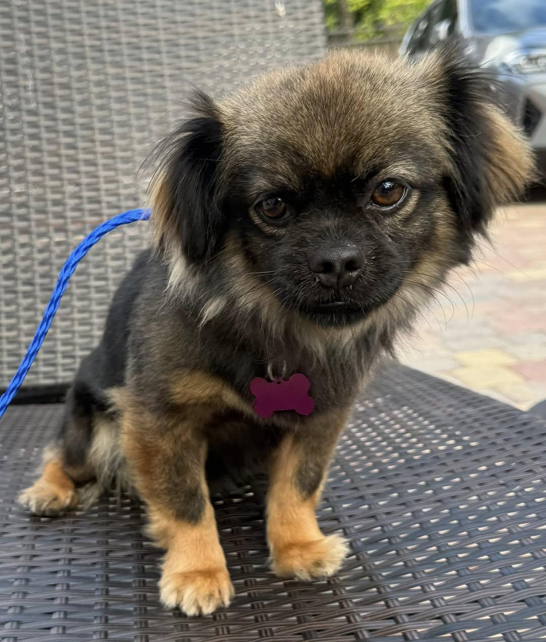 Nina — thumbnail 5