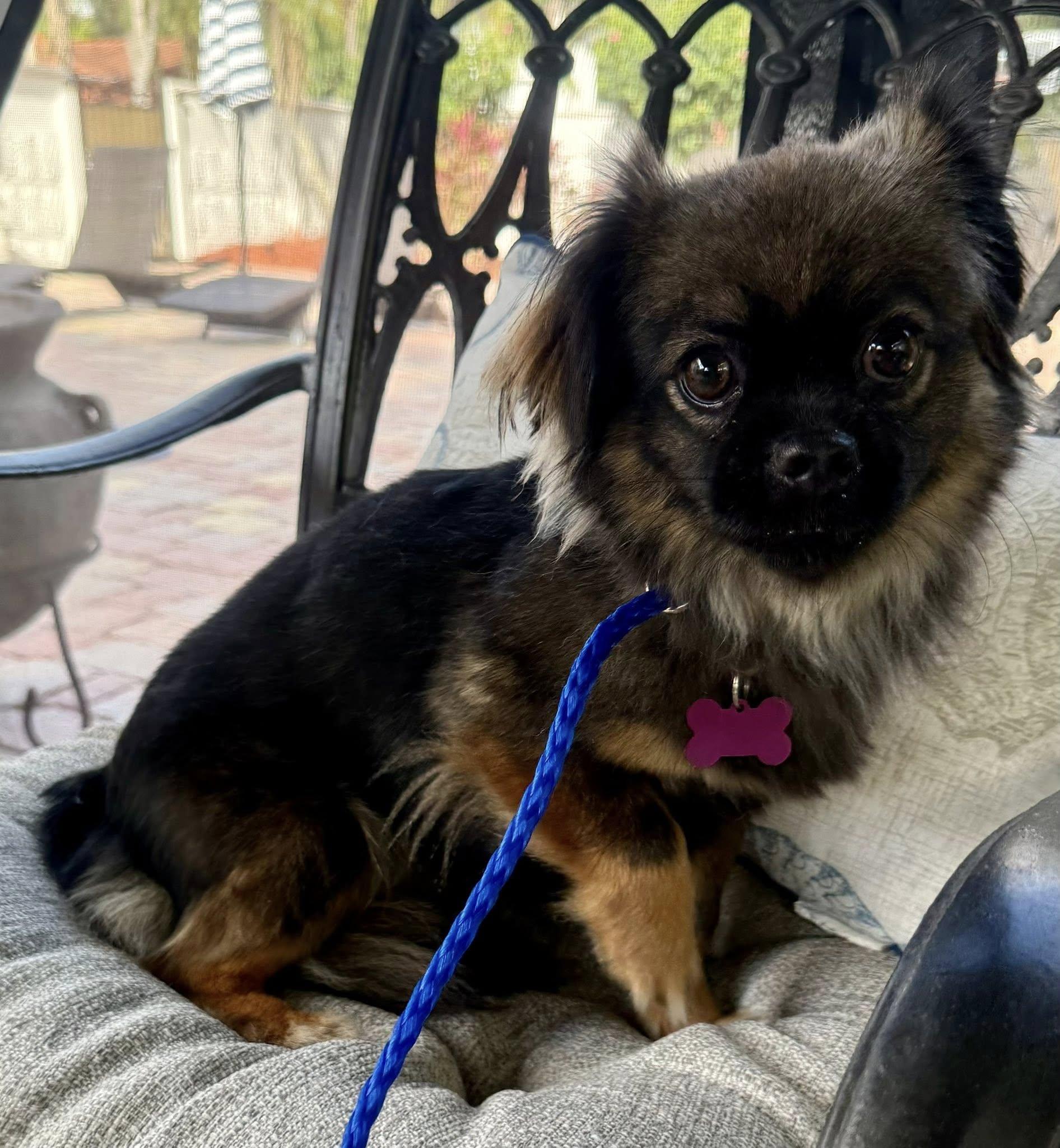 Nina — thumbnail 6