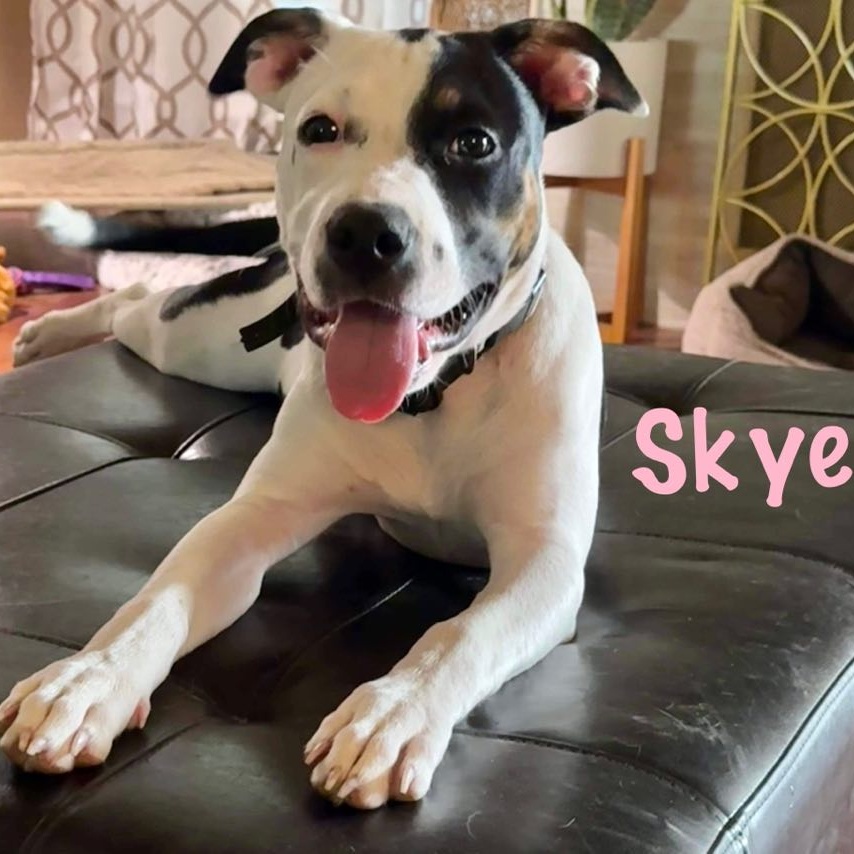 SKYE