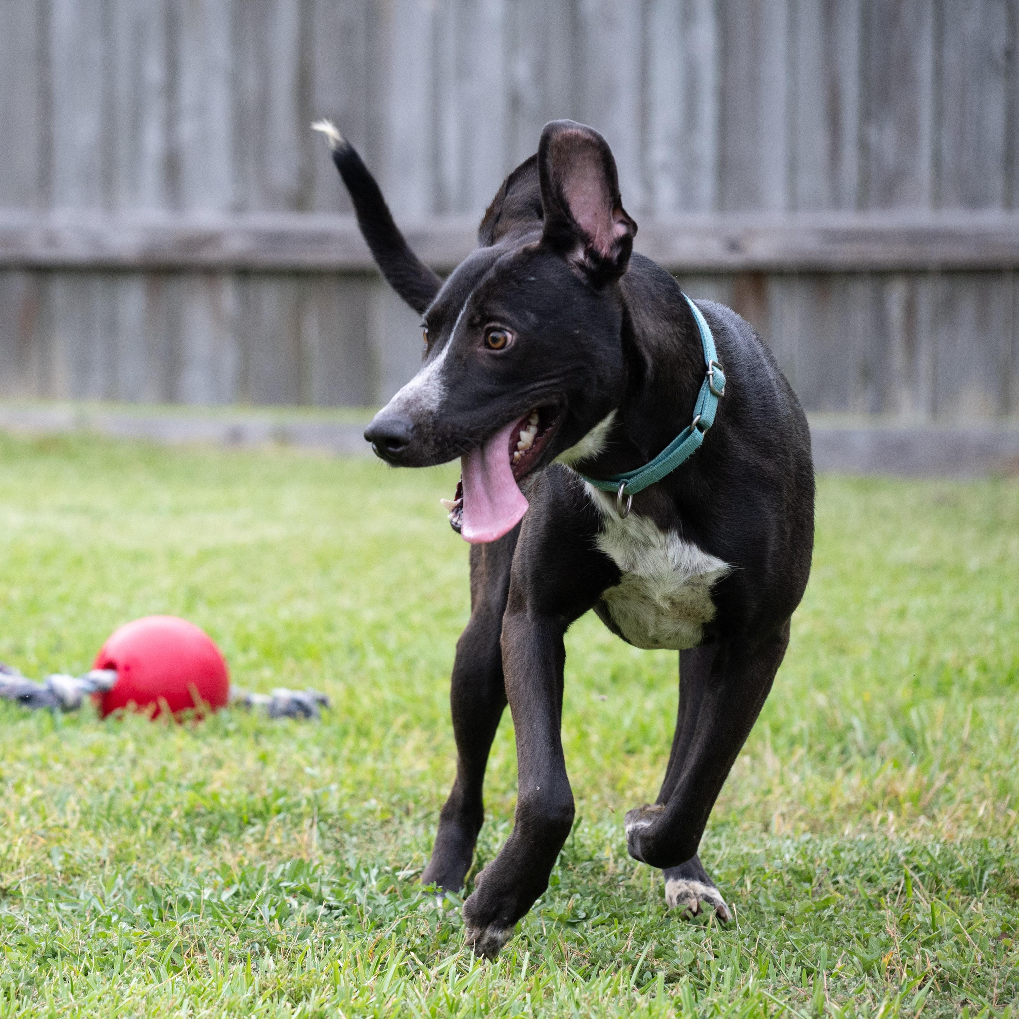 Miley — thumbnail 3