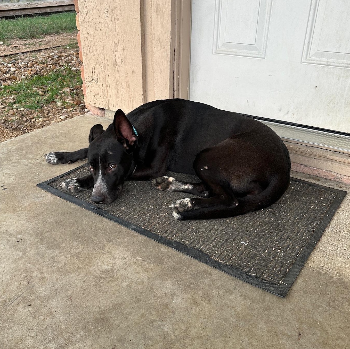 Miley — thumbnail 5