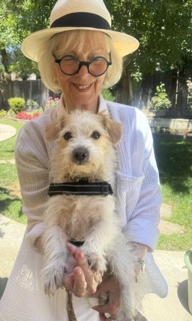 Enlarge Wally, a Adoptable mixed breed in Fresno, CA image 4/5