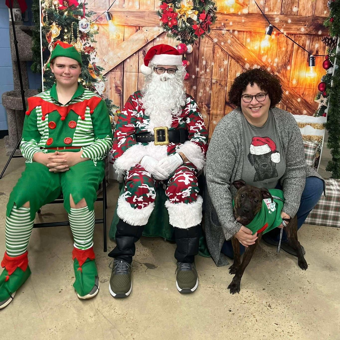 Enlarge Ace , a ADOPTABLE mixed breed in Chesapeake Beach, MD image 3/4