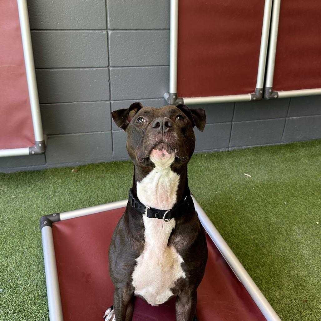 Bingo — thumbnail 5