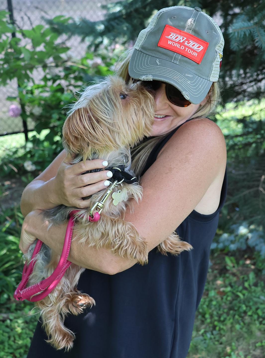 Enlarge Baby, an adopted Yorkshire Terrier in Harrison, NY image 3/4