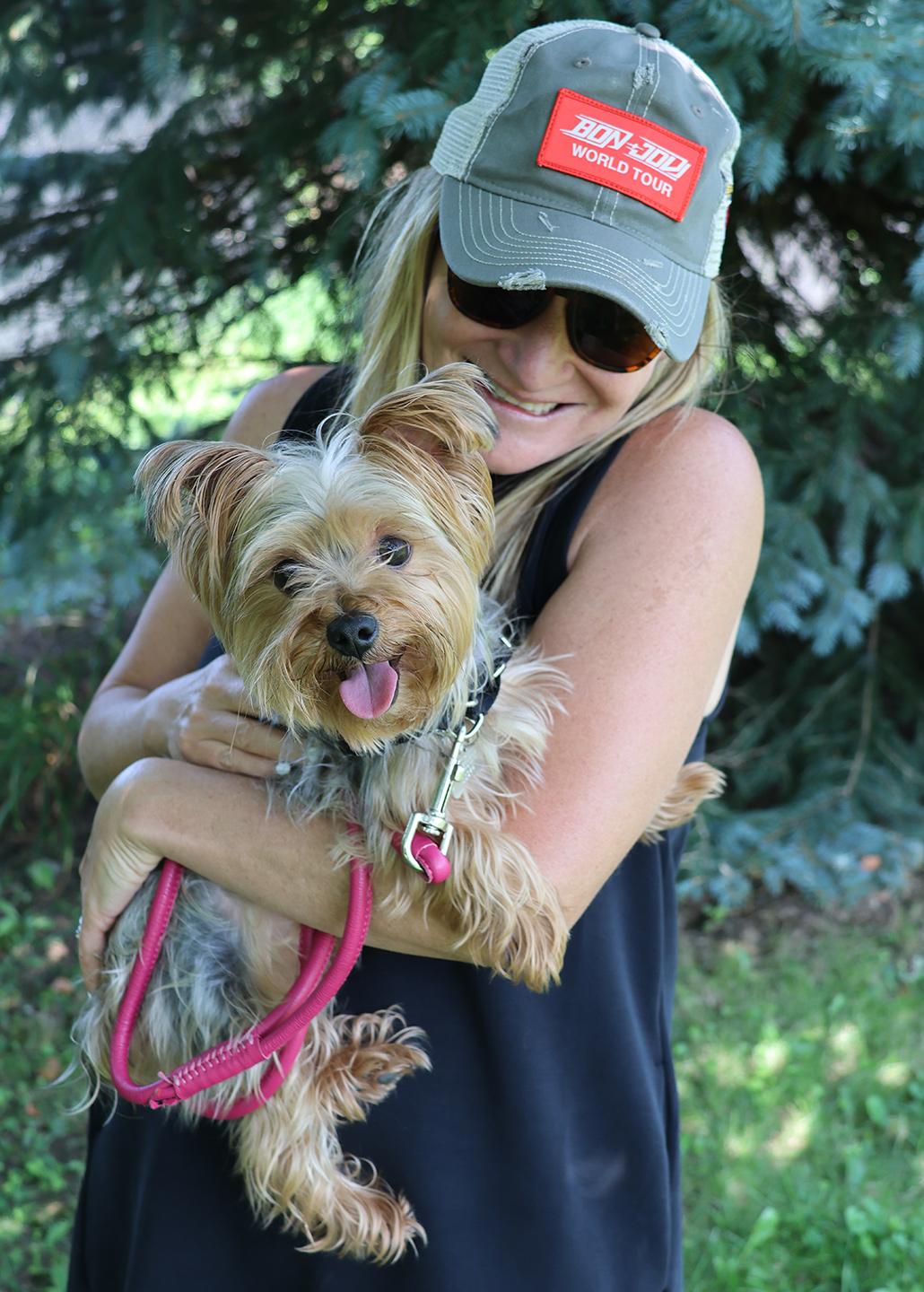 Enlarge Baby, an adopted Yorkshire Terrier in Harrison, NY image 4/4