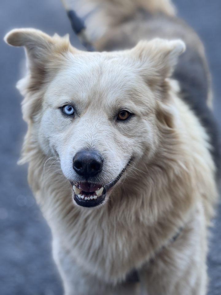 Coby
