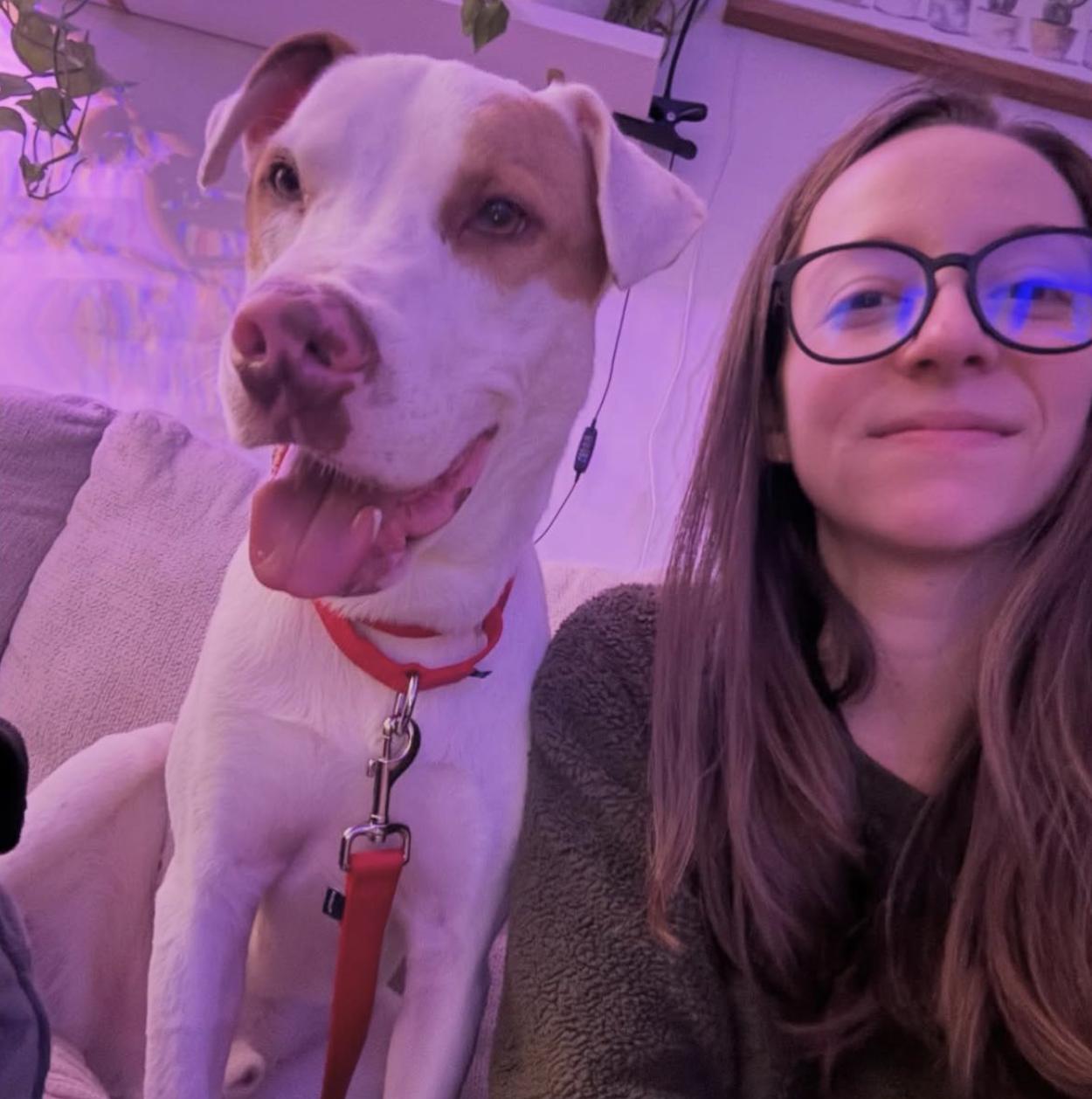 Draco, a Adoptable mixed breed in New York, NY image 3/5