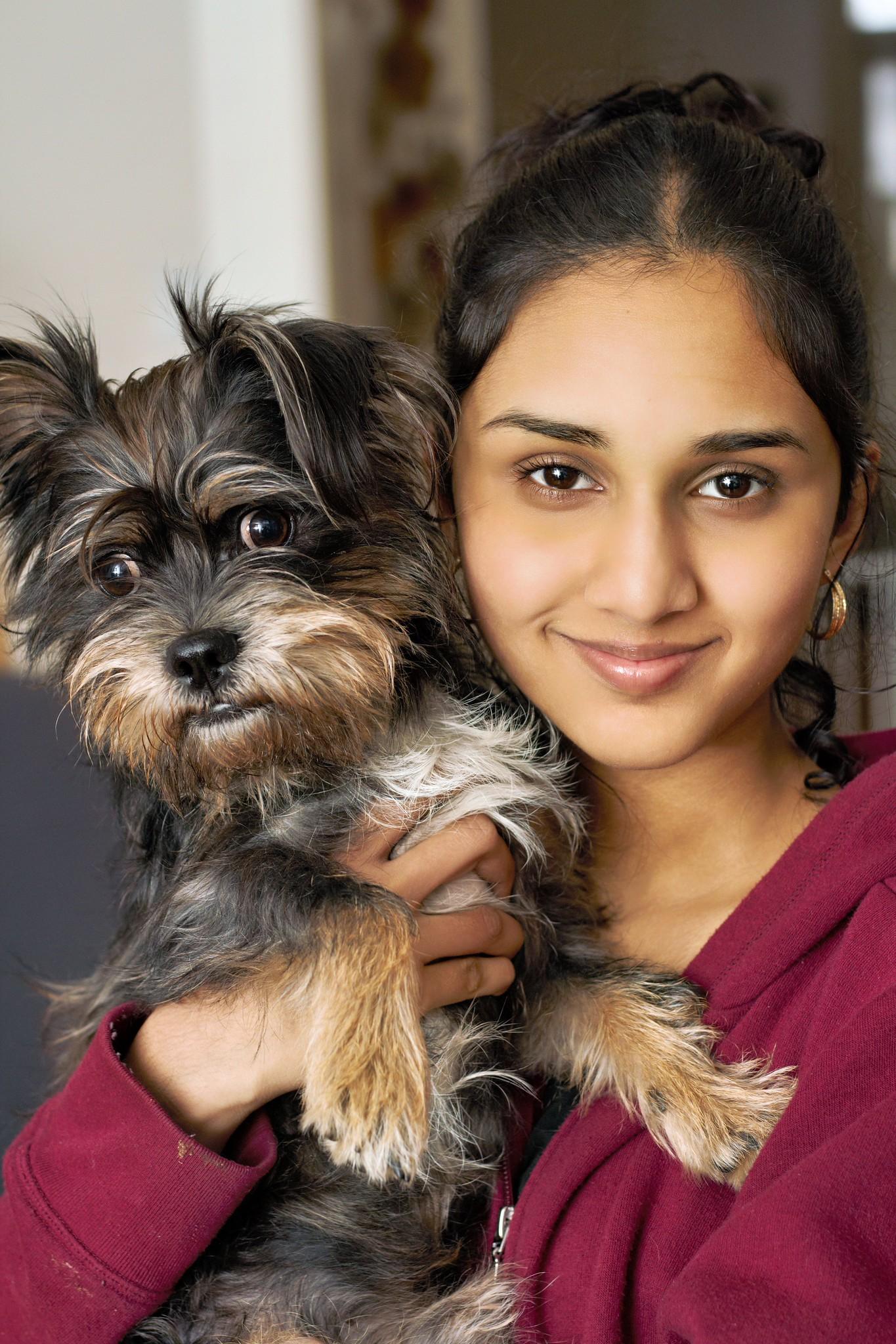 Waldo, a Adoptable mixed breed in Ellicott City, MD image 1/6