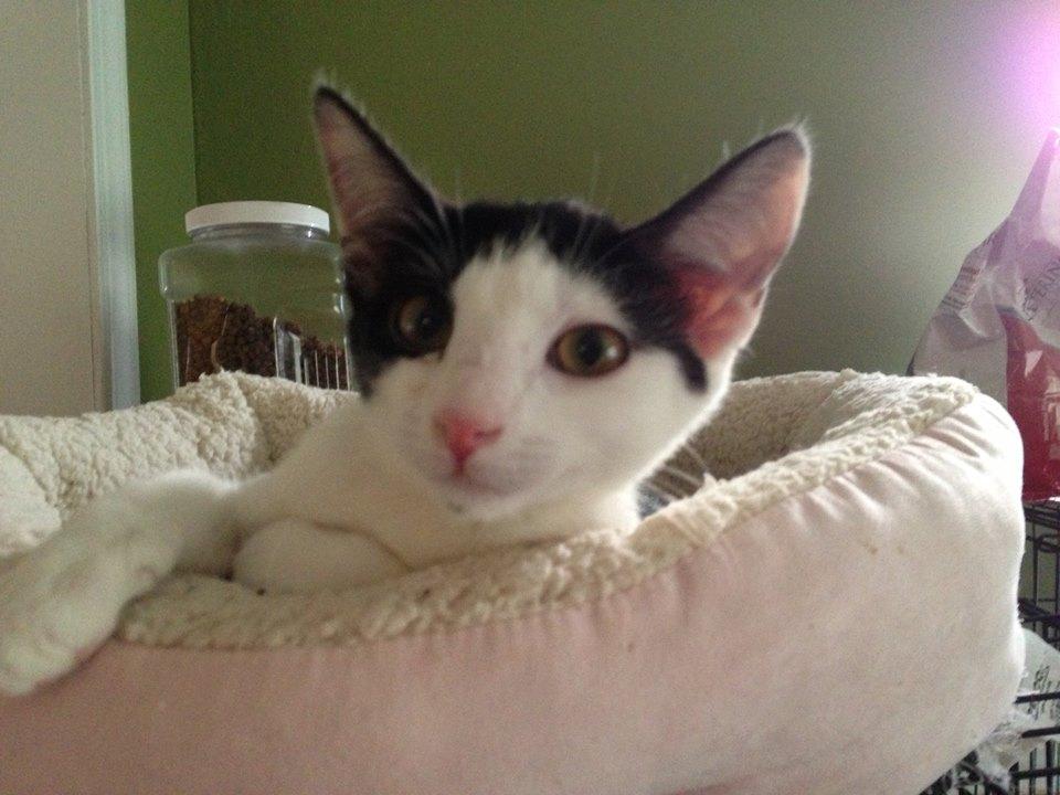 Molly photo 2