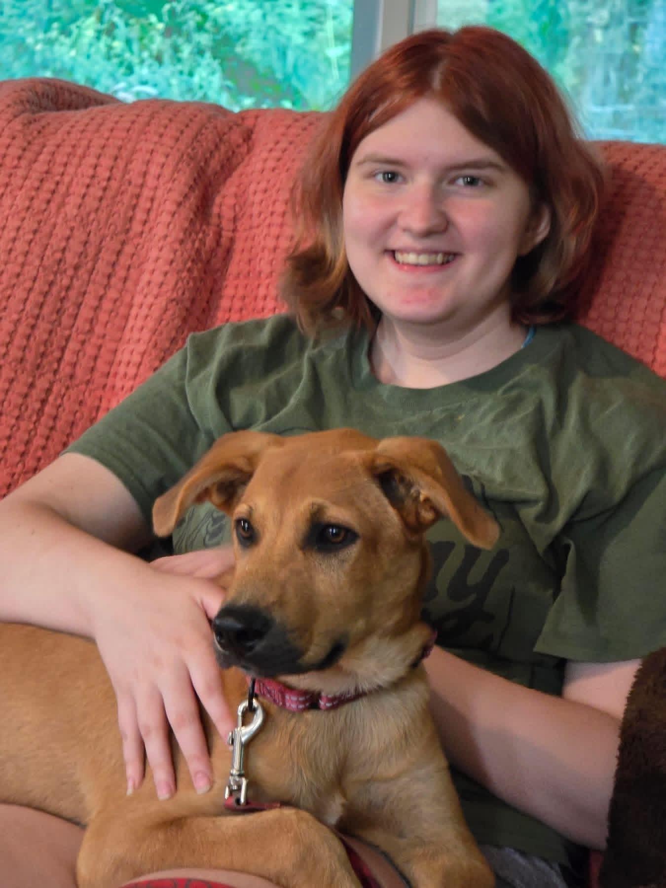 Enlarge Ebony, a ADOPTABLE mixed breed in Ooltewah, TN image 6/6