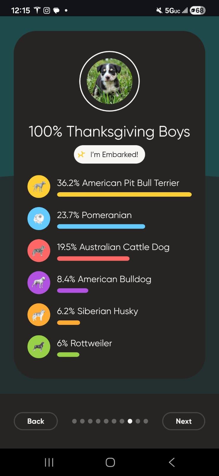 Enlarge Butterball, a ADOPTABLE mixed breed in Sunrise, FL image 2/4