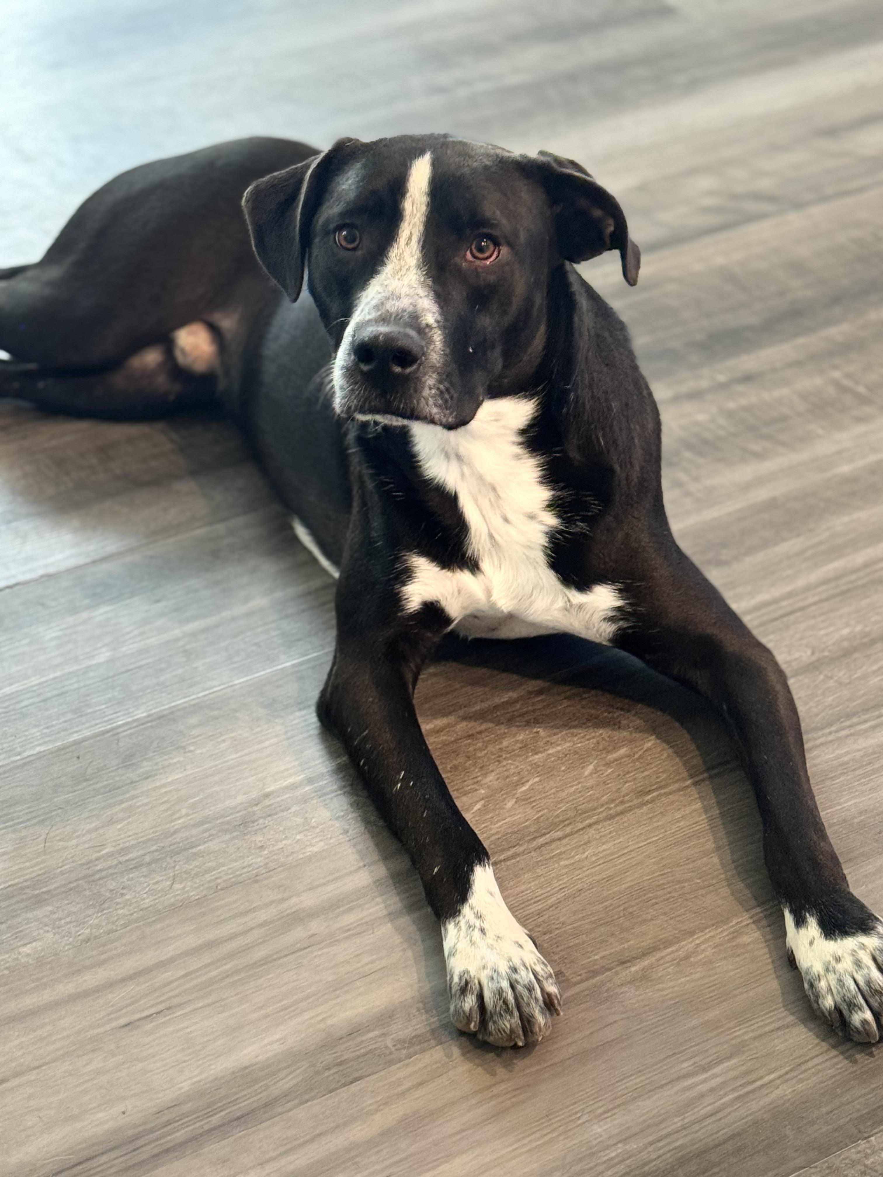 Benny