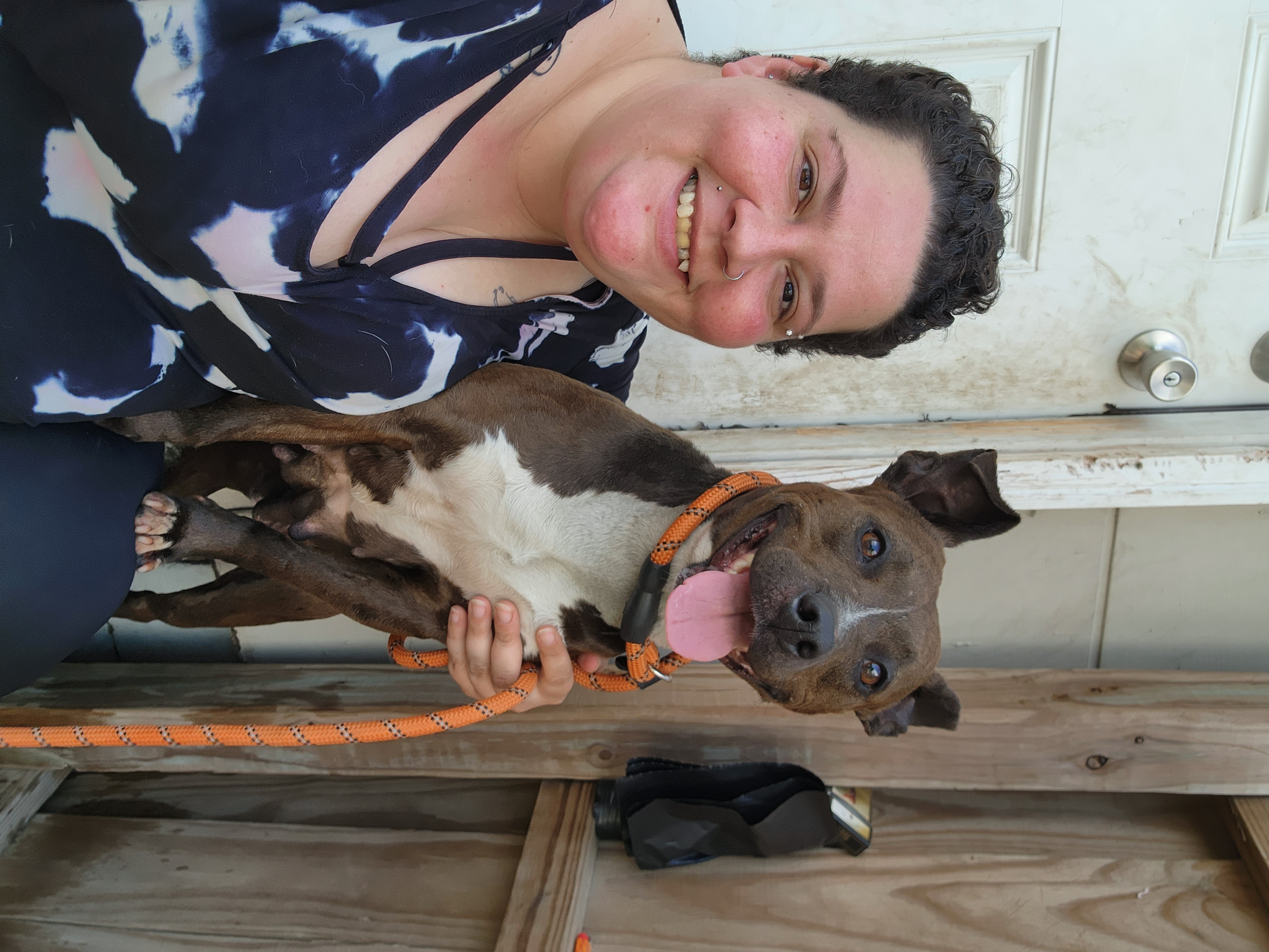 Enlarge SMUDGE, a Adoptable mixed breed in TULSA, OK image 10/12