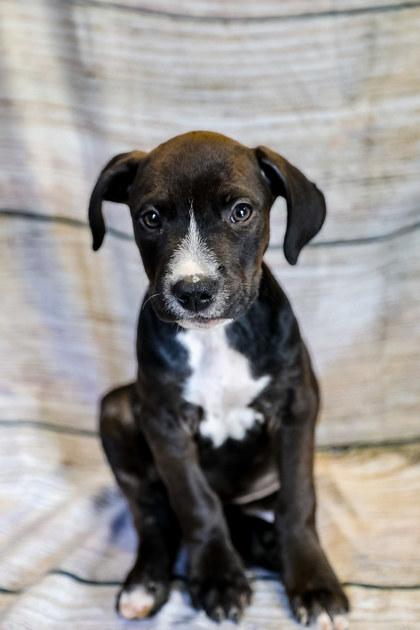 Ryder photo