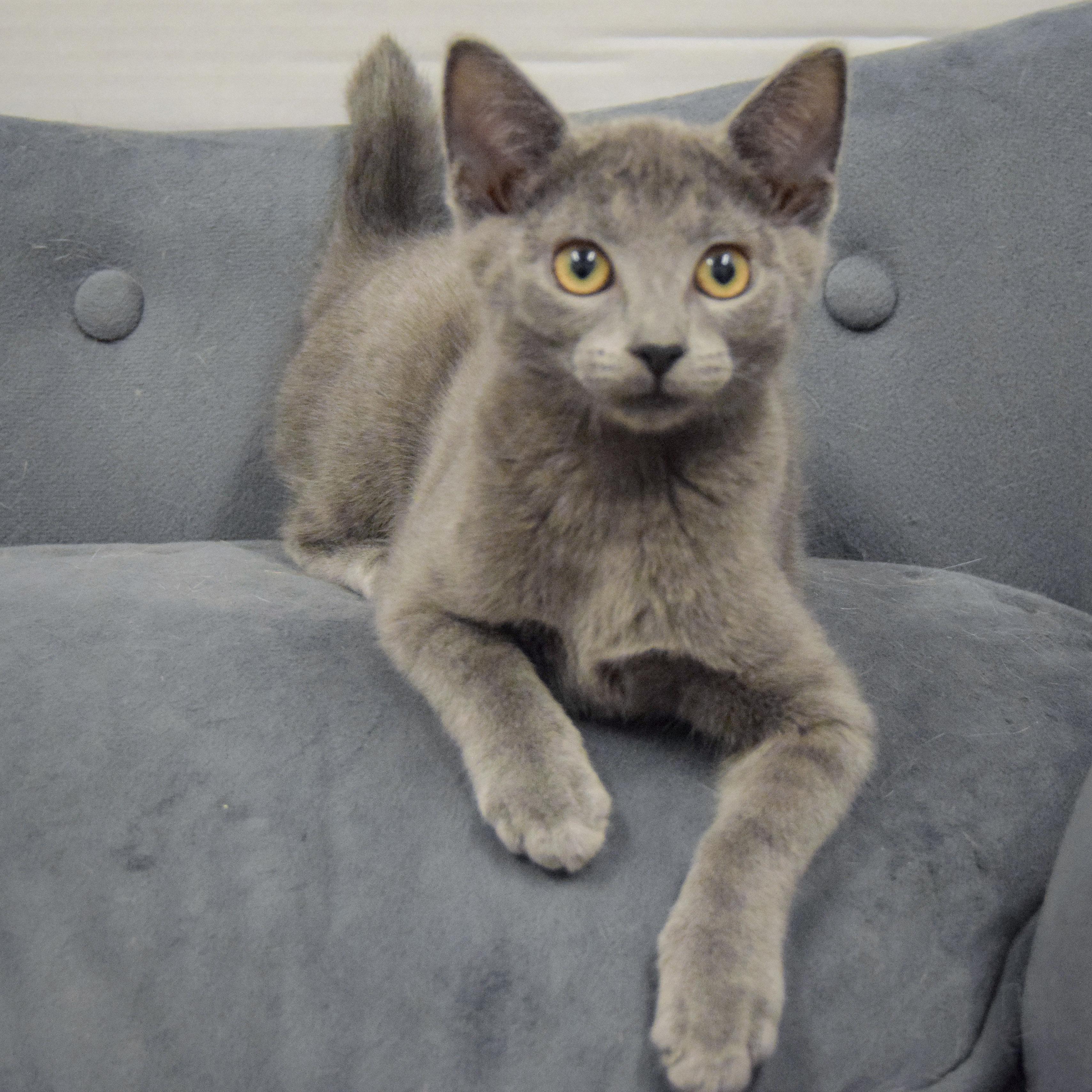 Jackie photo 2