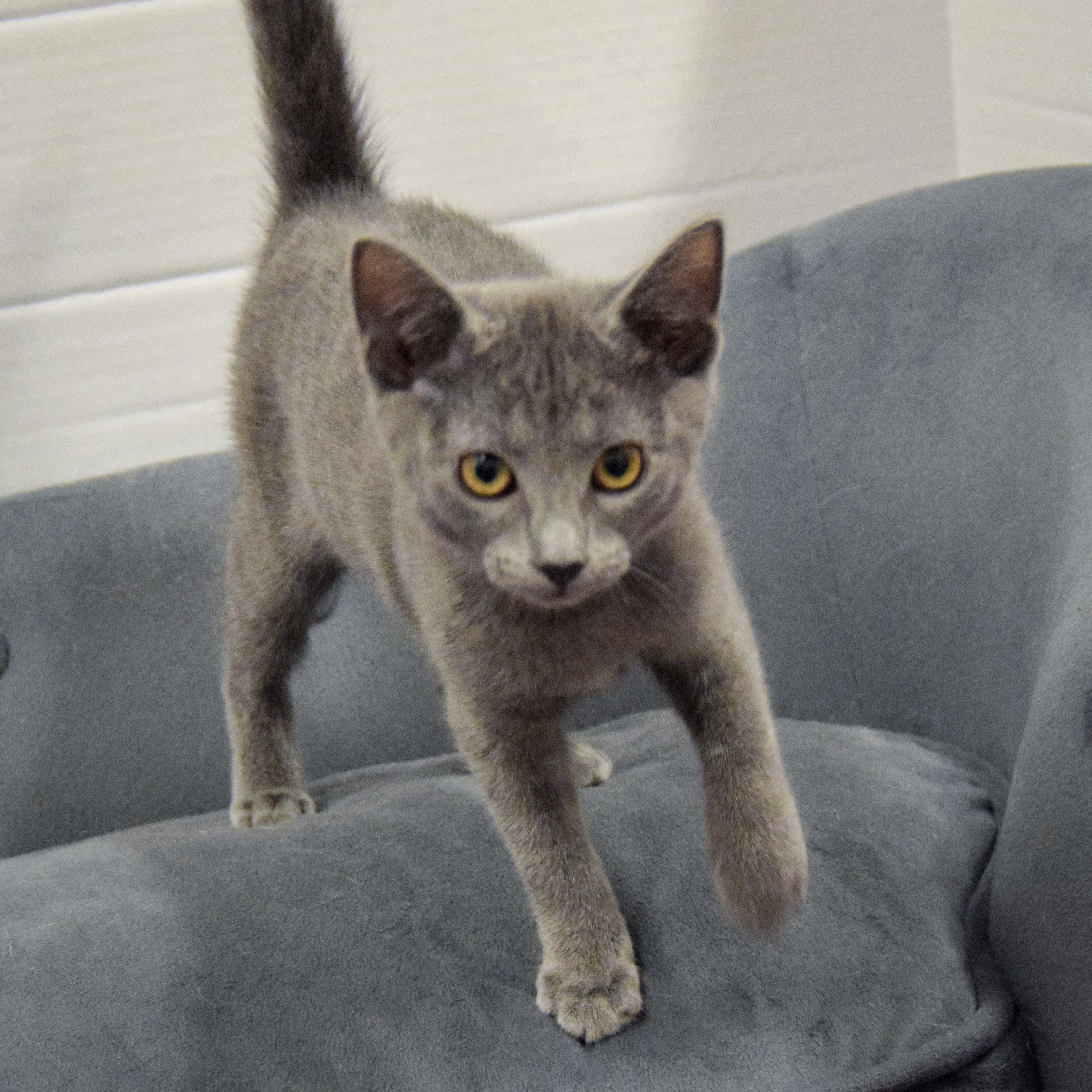 Jackie photo 3