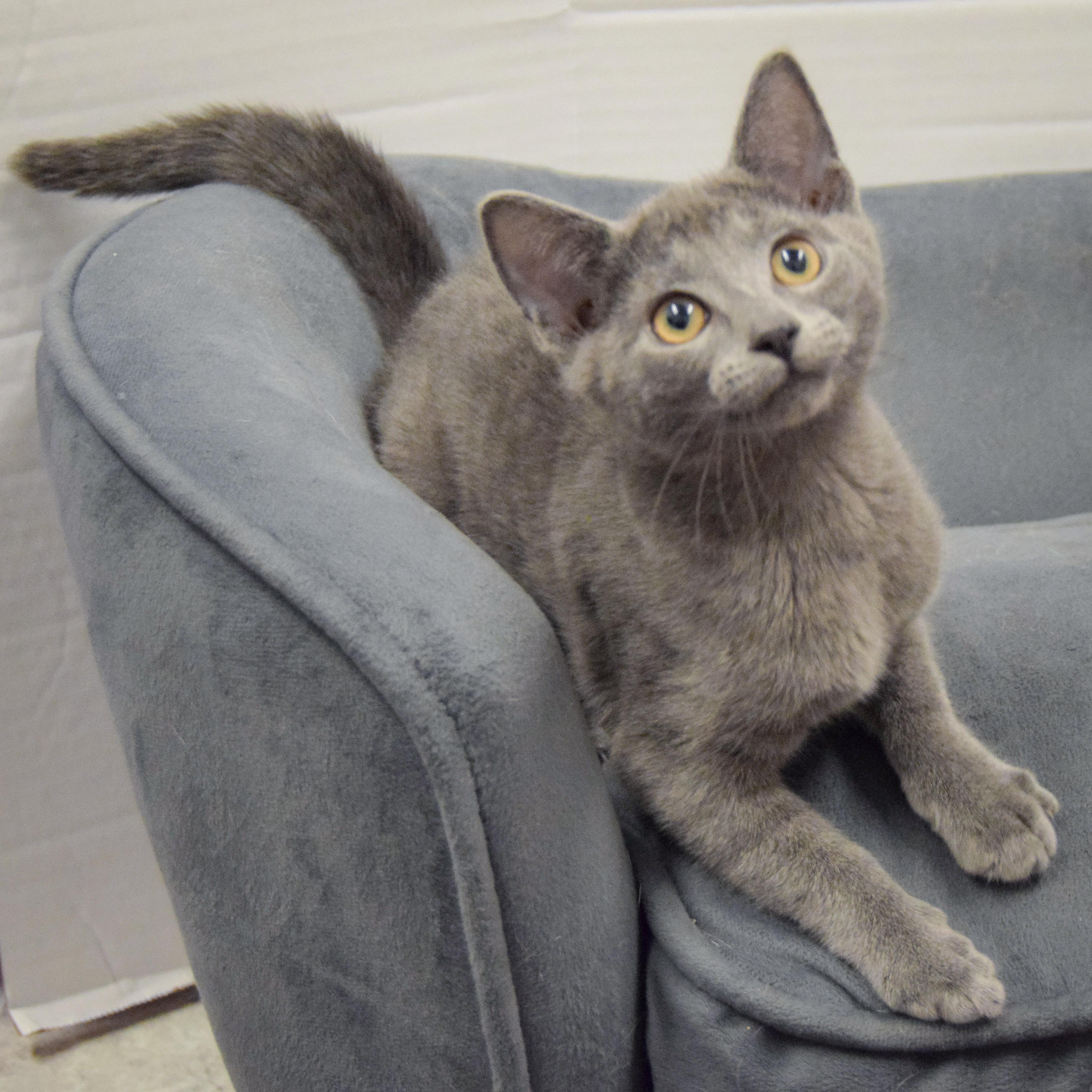 Jackie photo 5