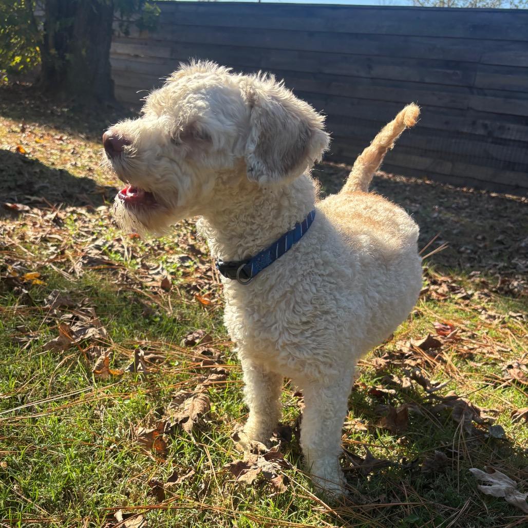 Michael Myers thumbnail 3