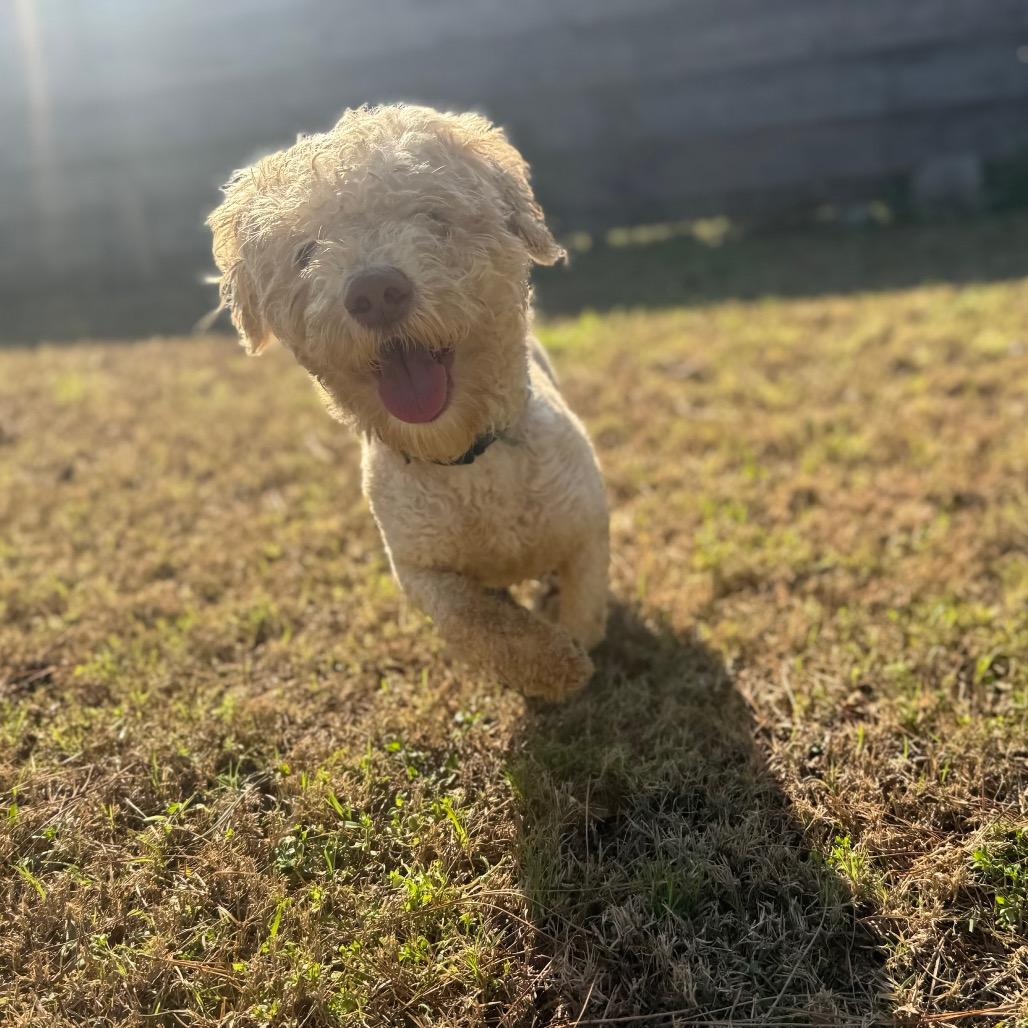 Michael Myers — thumbnail 3