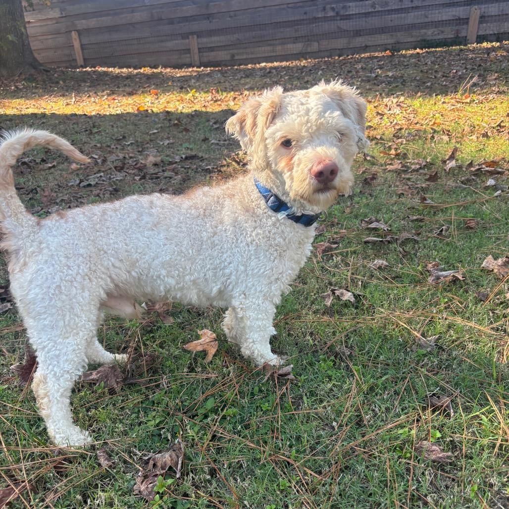 Michael Myers thumbnail 4