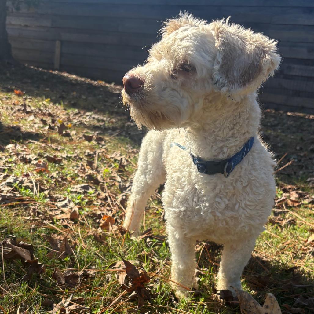 Michael Myers — thumbnail 5