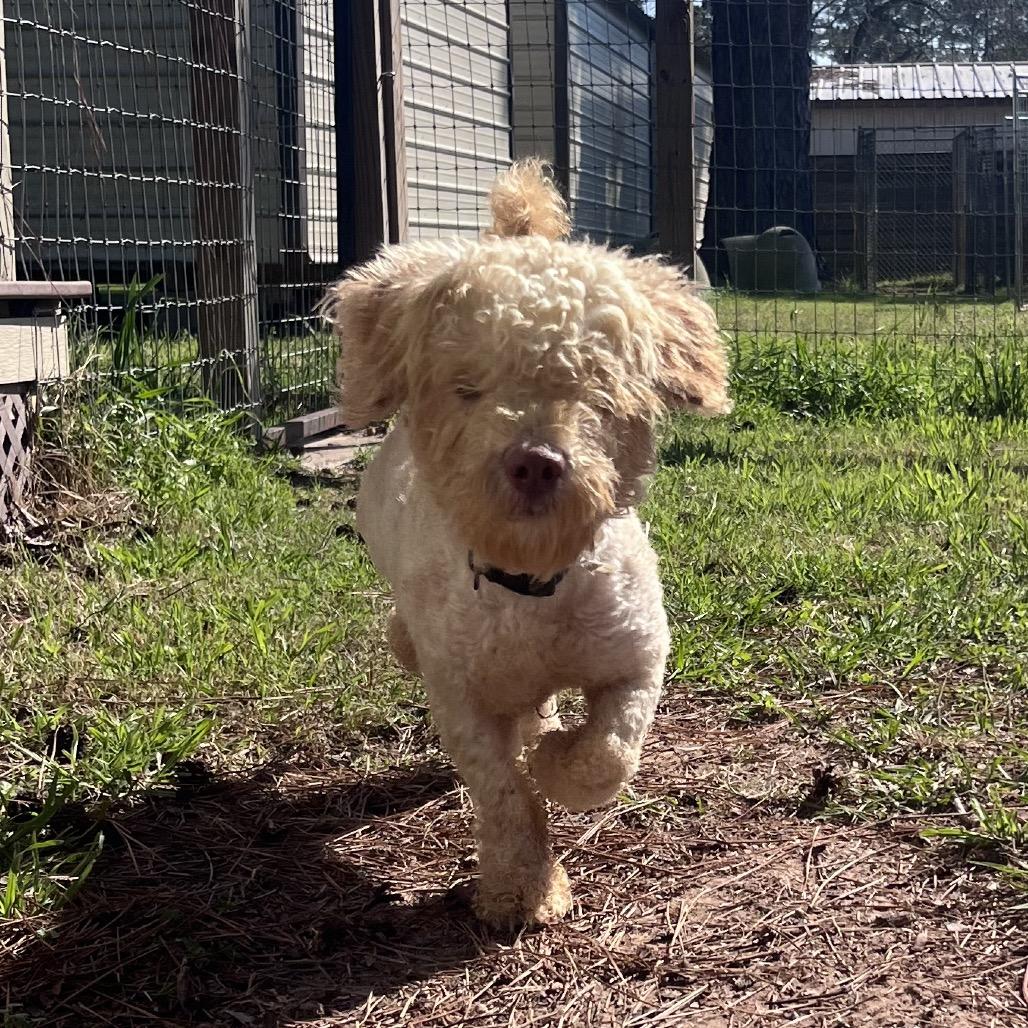 Michael Myers — thumbnail 6