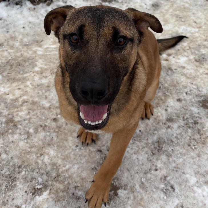 Maverick thumbnail 2