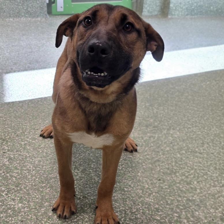 Maverick thumbnail 3