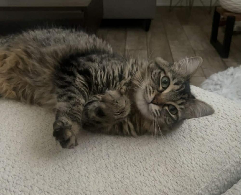 Luciana — thumbnail 2