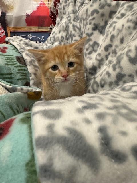 London — thumbnail 5