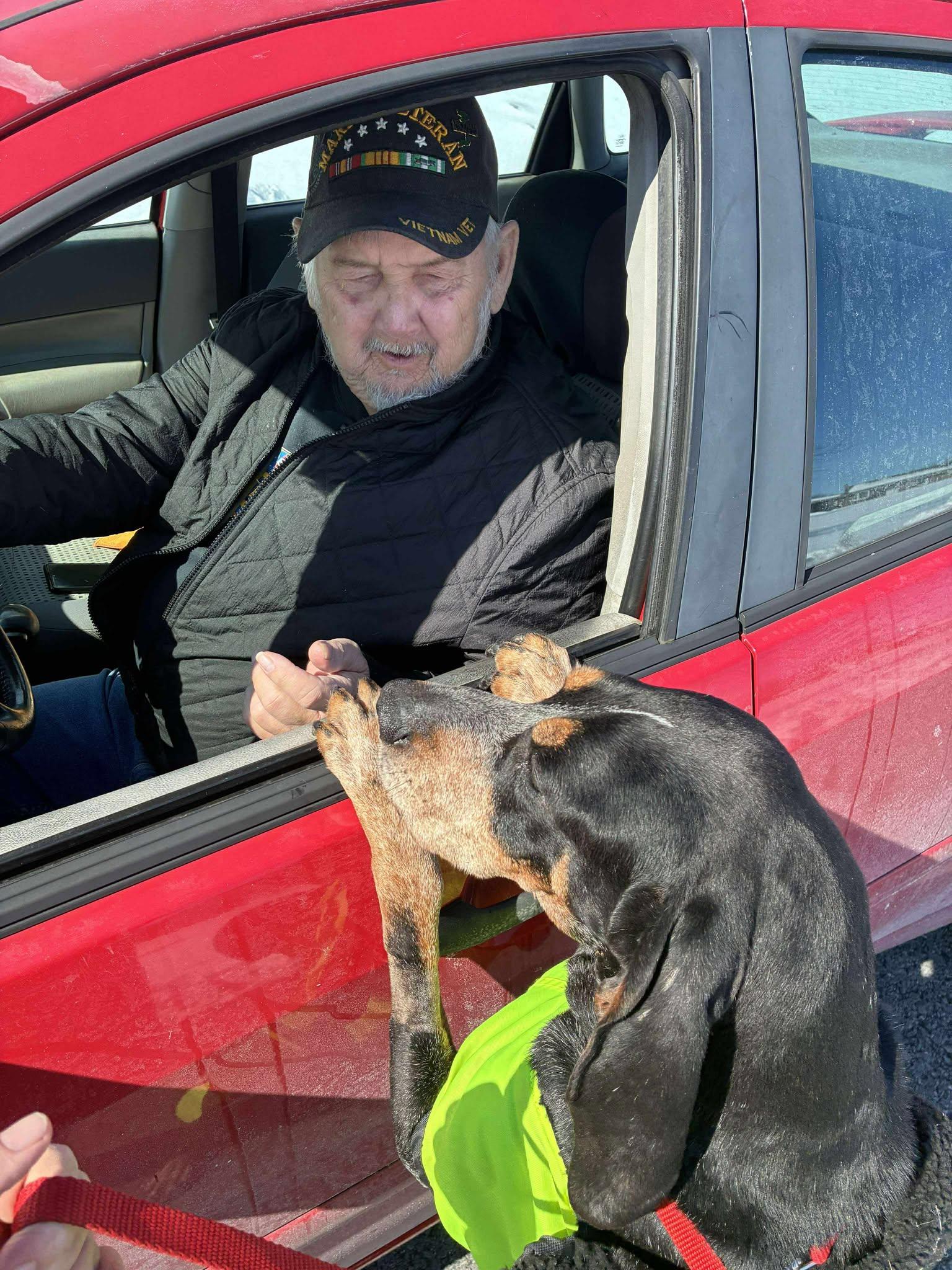 Boomer - Special Needs!, an adopted Bluetick Coonhound in North Bay, ON image 4/6