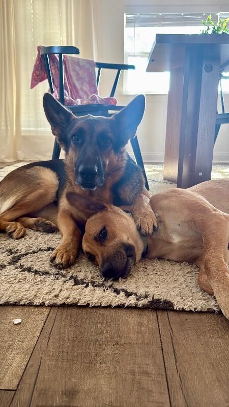 Walter Fitzgerald — thumbnail 5