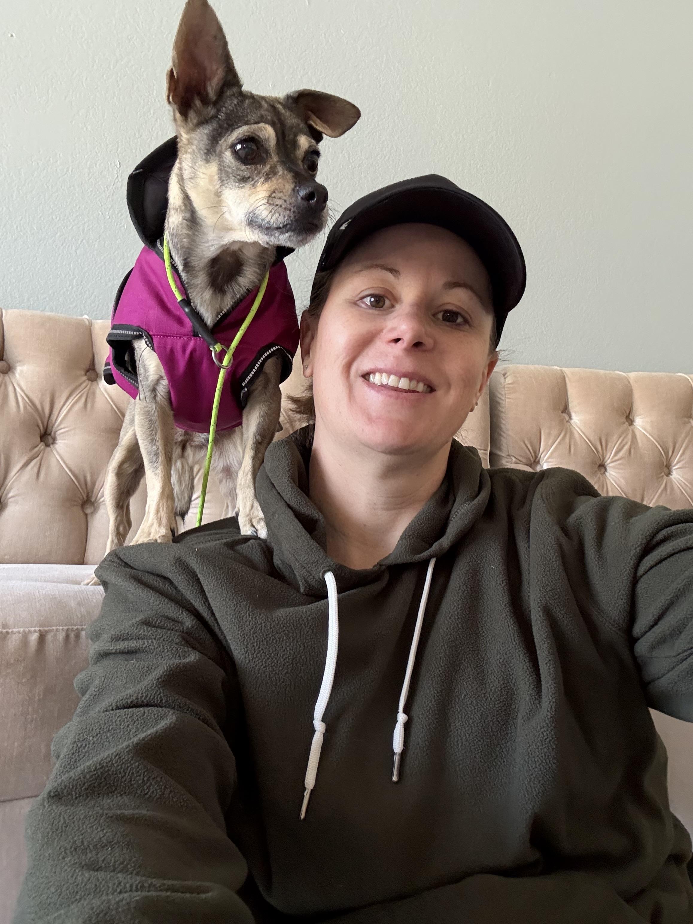 Enlarge Vera, a Adoptable Chihuahua in Agua Dulce, CA image 5/6