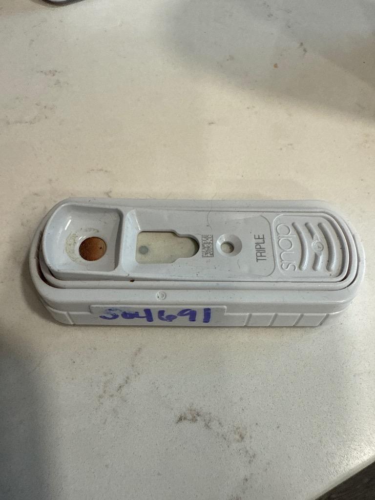 Enlarge Helen II, a Adoptable mixed breed in Richland Hills, TX image 1/2