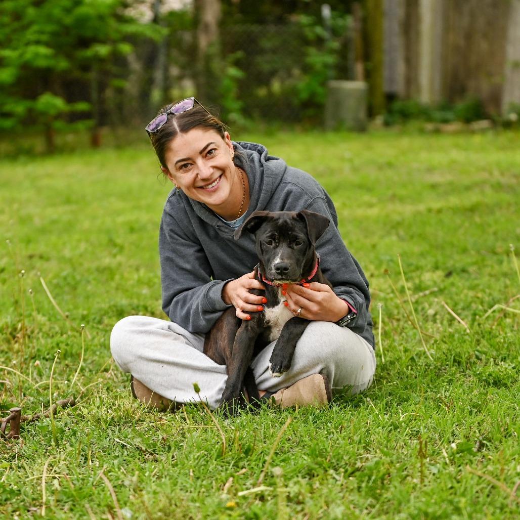 Enlarge Hazel, a Adoptable mixed breed in Wichita, KS image 3/6