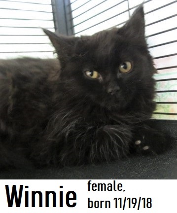 Winnie photo 2