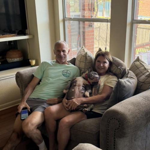 Enlarge Cookie, a Adoptable mixed breed in Austin, TX image 3/3