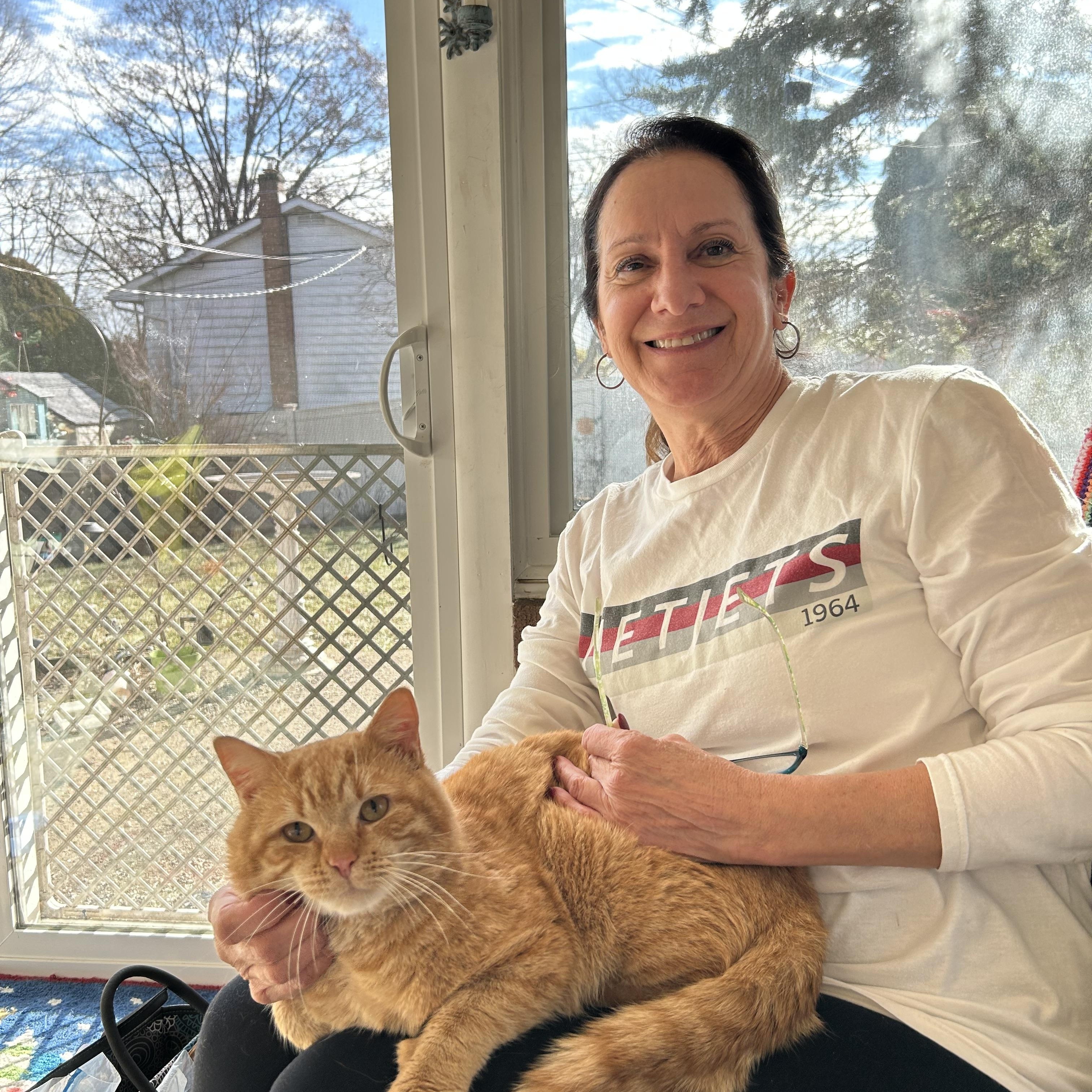 Enlarge Klaus-located in the west end of Allentown, a Adopted Domestic Short Hair in Glen Lyon, PA image 3/6