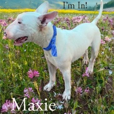 Maxie